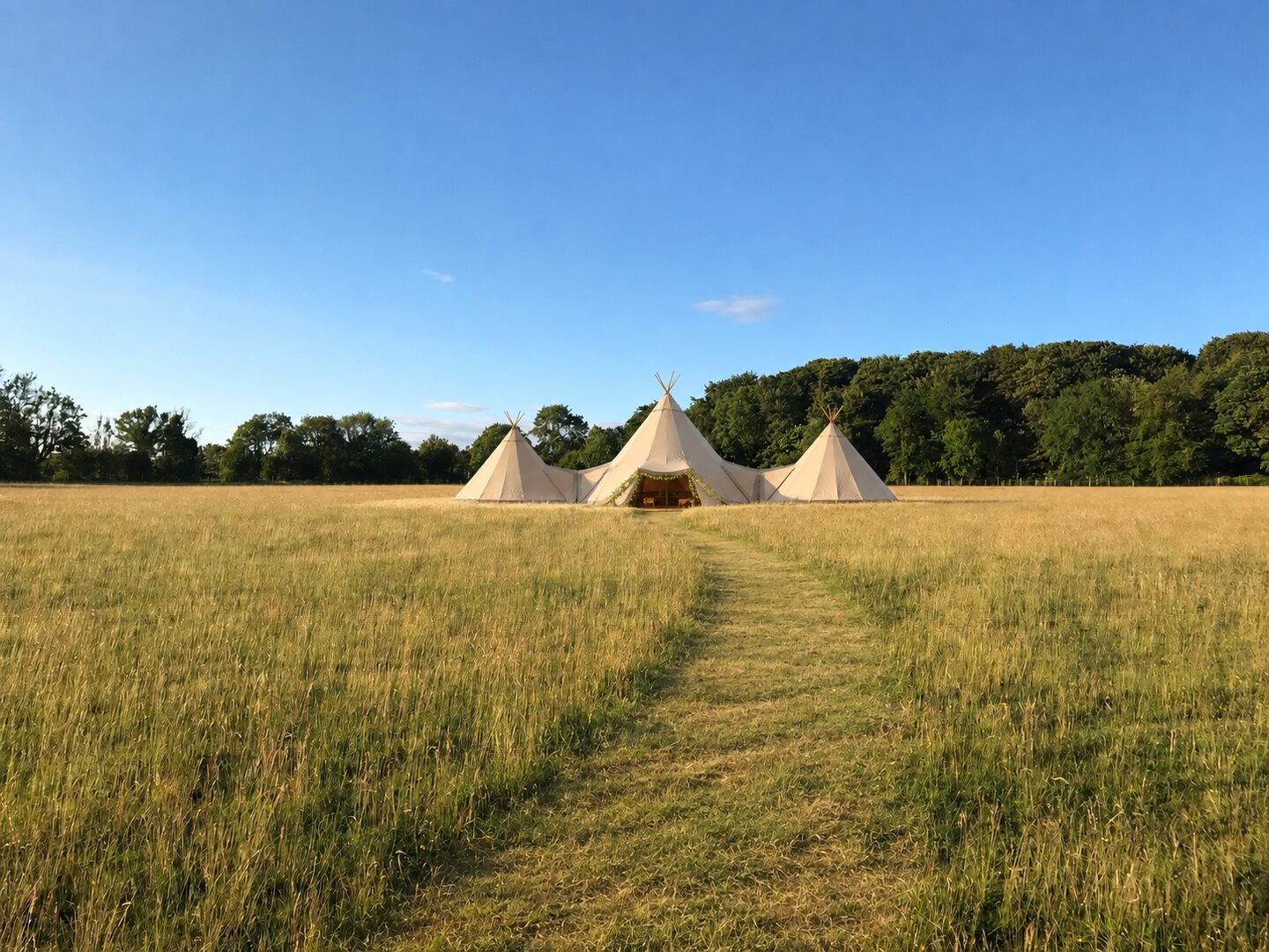 Tipis in a Hewletts Farm meadow with a mown grass approach